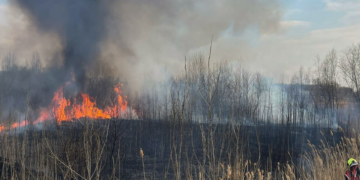 Небезпека для природи і людей: в Києві виявили масштабне задимлення, – ФОТО