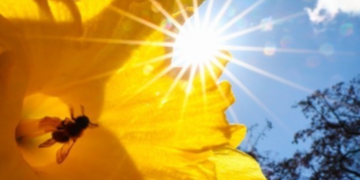 Небезпека для клімату: в Києві виявили рідкісне метеорологічне явище