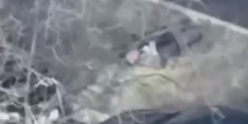 Вбивство на вулиці і втеча поліції: в Києві показали нові кадри теракту, – ВІДЕО