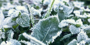 Аномальна весна: в Києві та області різкі перепади температури