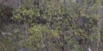 Стихія атакує Київ: грім, блискавки і шквальний вітер паралізують місто