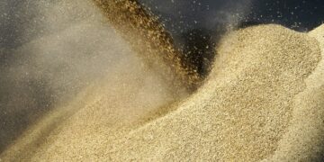 Єгипет дав обіцянку Зеленському і хоче більше українського зерна