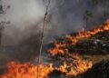 Київ може накрити димом із зони відчуження: чи є небезпека радіації