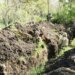 Окупанти випустили 6 тисяч дронів та провели 197 атак за одну добу – Генштаб про ситуацію на фронті