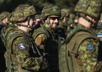Крихітна країна НАТО готується до війни з Росією – WSJ