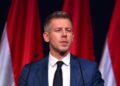 Навіщо Петер Мадяр порушує питання угорців в Україні: пояснення експерта