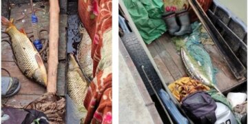 Браконьєри незаконно виловили червонокнижну рибу в заповіднику
