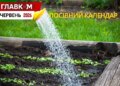 Посівний календар на червень 2026: час активного догляду, повторних посівів та боротьби за майбутній врожай