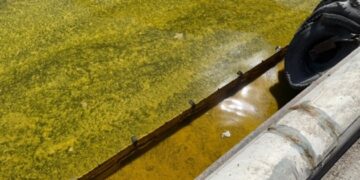 На узбережжі нацпарку на Одещині площа забруднення олією зросла вдвічі