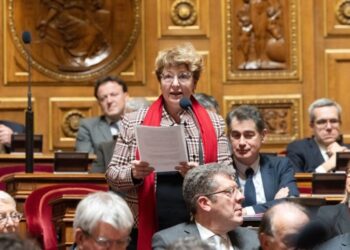 Якщо Франція хоче допомогти українцям, вона не повинна блокувати їм шлях додому – сенаторка