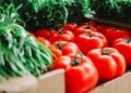 Помідори в Україні подешевшали на 10% – і це ще не межа