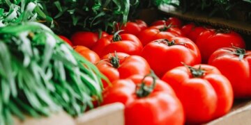 Помідори в Україні подешевшали на 10% – і це ще не межа