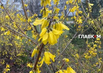 В Україні дощі, град: погода на 19 травня