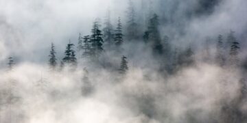 Вчені з’ясували, що туман активно очищує атмосферу від шкідливих речовин