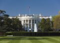 У Трампа почали будувати арену для турніру UFC біля Білого дому