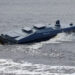 Морський дрон, знайдений у Греції, міг збитися з курсу через технічну несправність