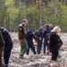 Замість мін: на Київщині відроджують ліси після окупації