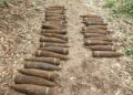 У Берліні в лісі знайшли 59 нерозірваних радянських снарядів часів Другої світової