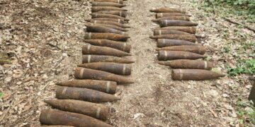 У Берліні в лісі знайшли 59 нерозірваних радянських снарядів часів Другої світової