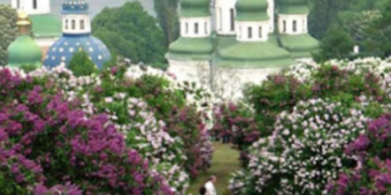 Еко-знахідка в зелених зонах Києва: що найчастіше фотографують, – ФОТО