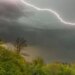 Небезпечна погода: у Києві оголосили штормове попередження