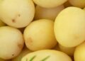 Сезонні ярмарки накриють Київ: оприлюднено повний розклад