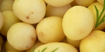 Сезонні ярмарки накриють Київ: оприлюднено повний розклад