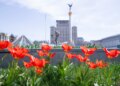 Травень у Києві відзначився трьома погодними рекордами
