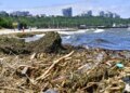 Науковець пояснив, як Чорне море швидко віновилося після підриву Каховської ГЕС