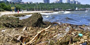 Науковець пояснив, як Чорне море швидко віновилося після підриву Каховської ГЕС