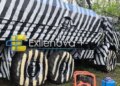 Ворог почав фарбувати техніку «під зебру». Аналітики пояснили задум (фото)