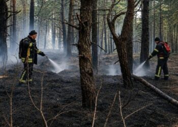 У заповіднику на Житомирщині загасили масштабну пожежу, що виникла через удари РФ
