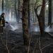 У заповіднику на Житомирщині загасили масштабну пожежу, що виникла через удари РФ