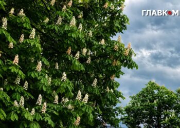 Частину України накриють дощі: погода на 3 червня 2026 року