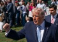 Politico: Трамп став політичним обузою для європейських правих популістів