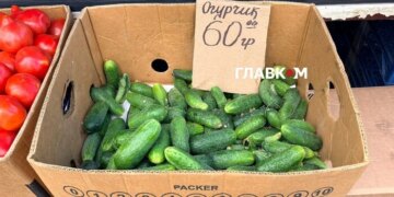 На столичних ринках з’явилися доступні українські огірки: огляд цін