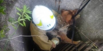 На Обухівщині рятувальники дістали собаку з глибокого колодязя