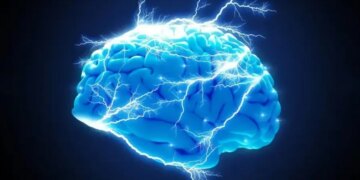 Вчені відкрили клітини мозку, які допомагають перемикати увагу