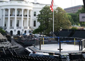 ФБР заявило про запобігання теракту на турнірі UFC у Вашингтоні, який проходив у день народження Трампа