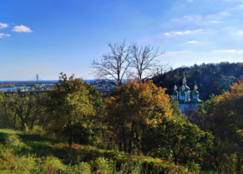 Квіткова лихоманка: де в Києві побачити найбільше квітів, – ФОТО