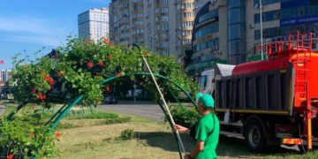 Масштабне озеленення Києва: де побачити райські куточки природи, – ФОТО