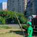 Масштабне озеленення Києва: де побачити райські куточки природи, – ФОТО