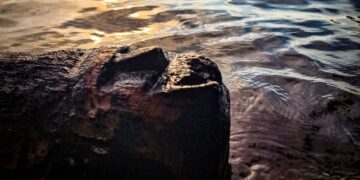 Таємниче обличчя з-під води: як у озері виявили артефакт раннього Середньовіччя