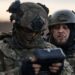 Як виглядає міст через Північнокримський канал після удару ССО: супутникові знімки