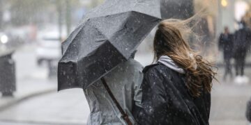 У Львові вирує негода: вітер валить дерева, зриває дахи та зупиняє транспорт (фото)