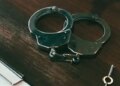 Кричав, бив та залишив у спеку без води: киянин може сісти до в'язниці на три роки за вбивство собаки