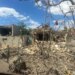 Одещина зазнала чергової атаки рф, пошкоджено житлові будинки та постраждав 84-річний чоловік