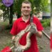У Києві зоозахисники зняли з дерева екзотичну змію: як вона туди потрапила (відео)