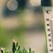 В Іспанії попередили про третю хвилю спеки з температурою до 45°C