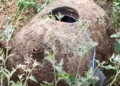 У Чорному морі біля Одеси виявили дрейфуючу корабельну міну